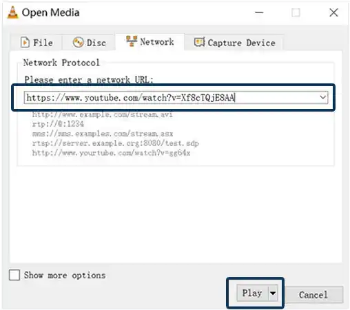 Paste the Video URL into the network URL box and click on Play