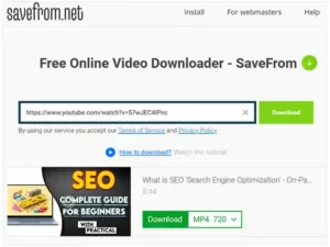 Paste’ your video’s URL on the video downloader website