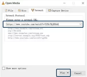 ‘Paste the Video URL’ into the network URL box and click on ‘Play.’