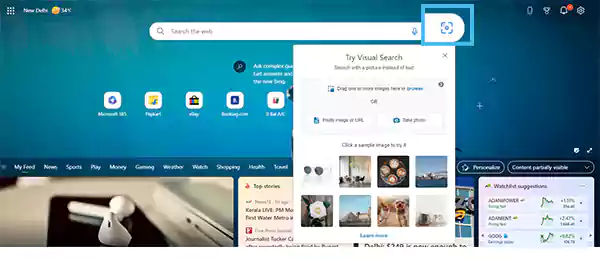 Image search result for the image search query made on Google image search 1