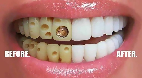 Dental Advertisement