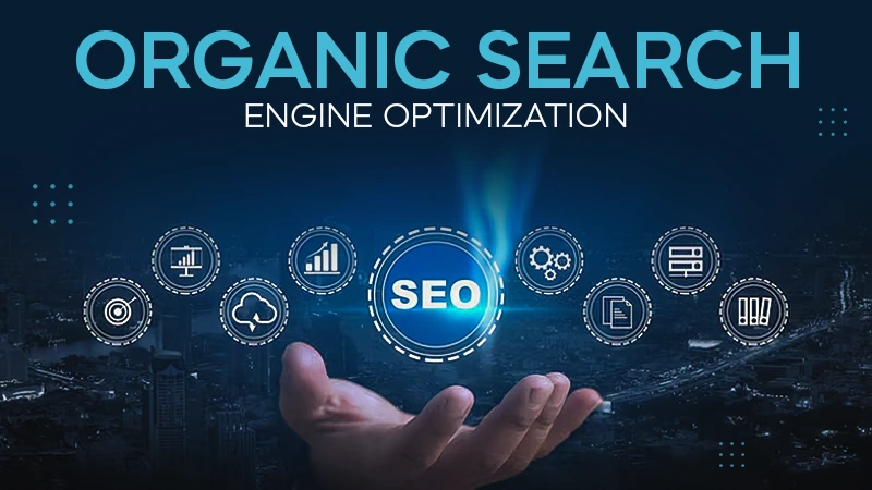 organic search engine optimization