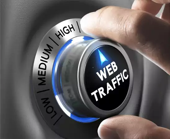 Drives Website Traffic
