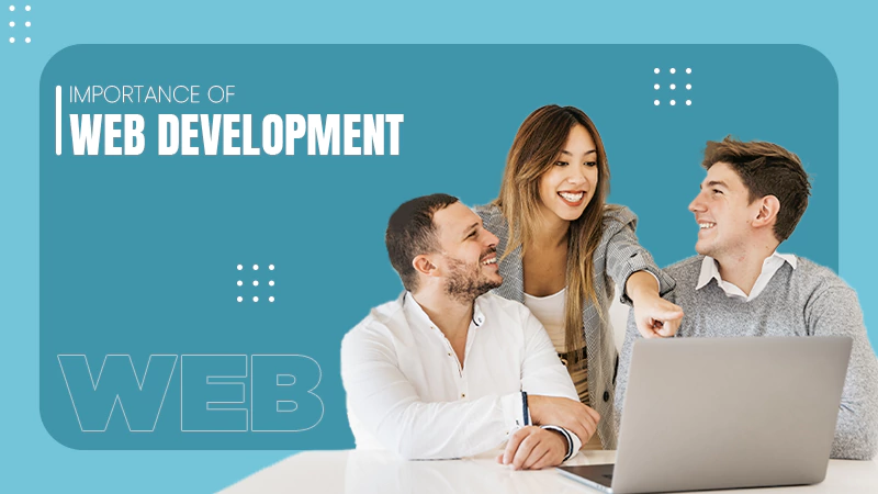 Importance of web dev