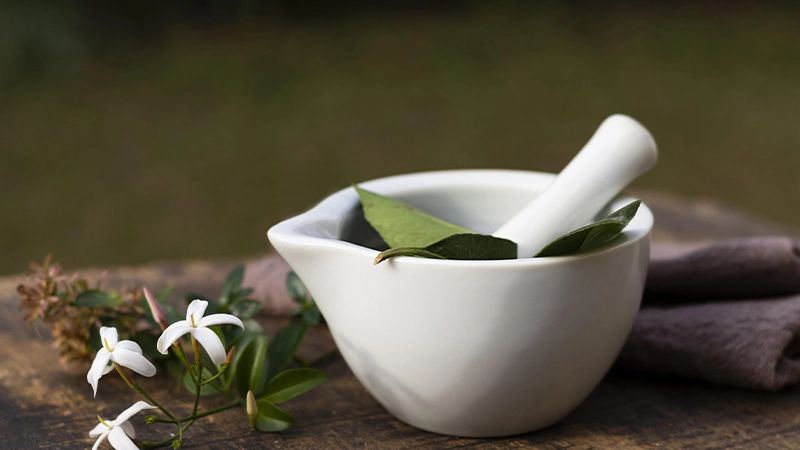 Case Study for Client Nature Care Ayurveda