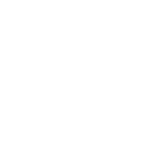 Clean Professional Aesthetic