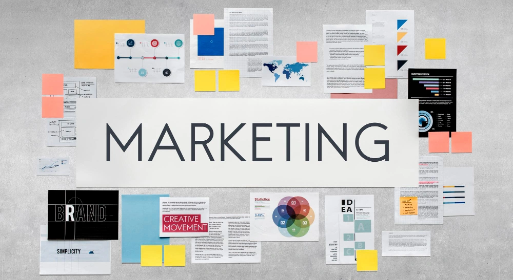 The Digital Marketing Services We Provide Janakpuri?