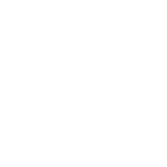 Paid Ads Specialists