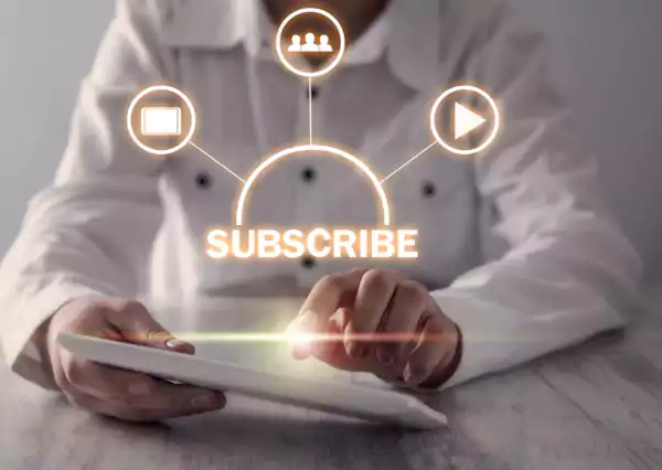 Subscriber Details you get on YouTube