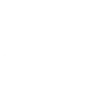 Experienced Professionals