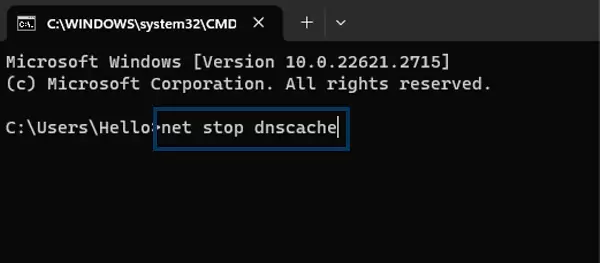 Prompt-for-stopping-DNS-service-on-Windows