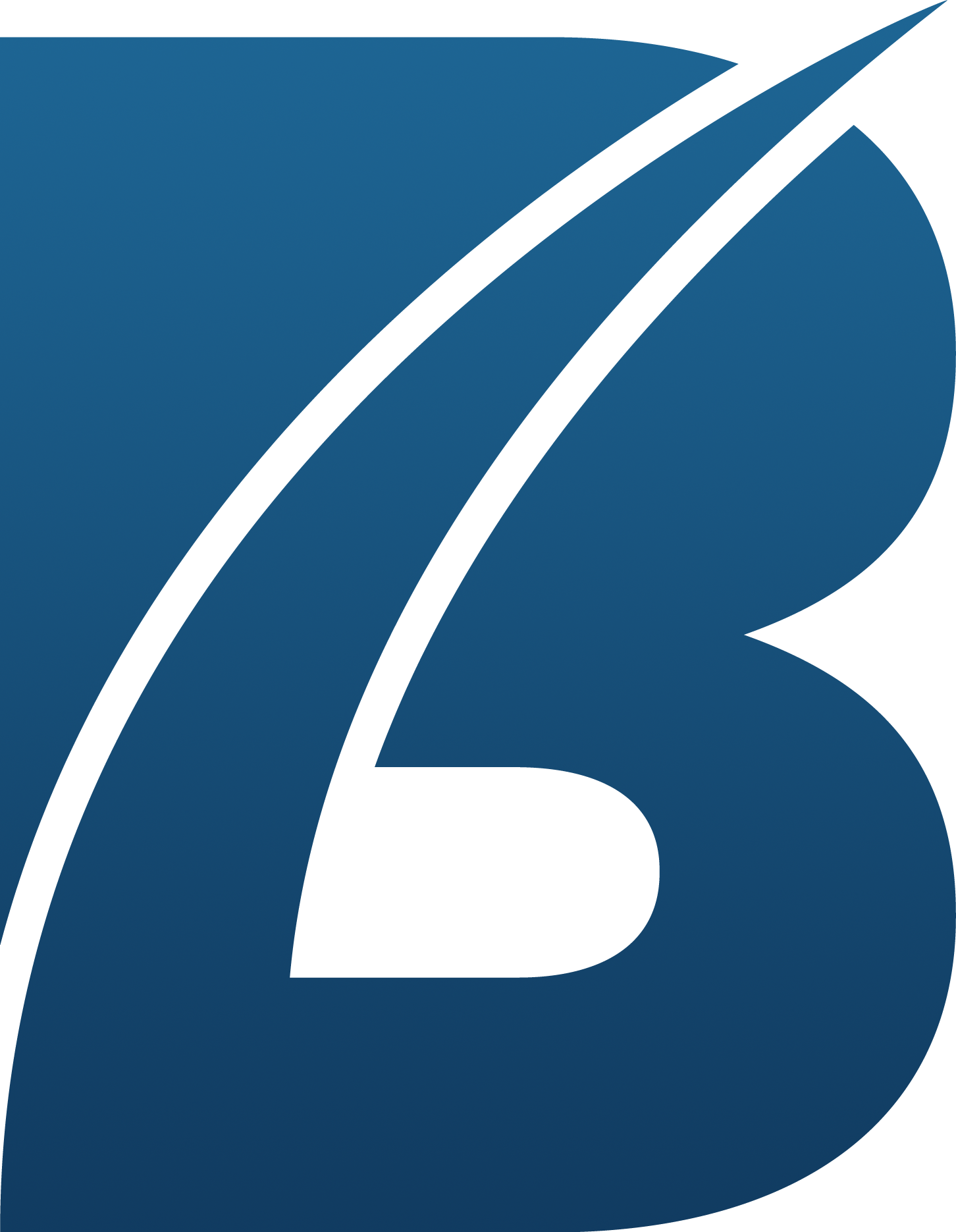 Battersea Web Expert Favicon