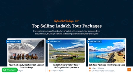 Color Palette Selection