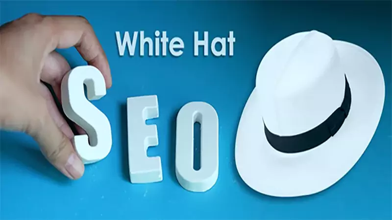 d-White Hat SEO