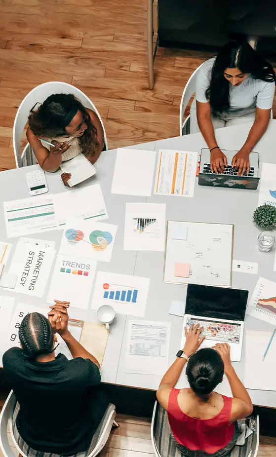 SEO Company in Noida