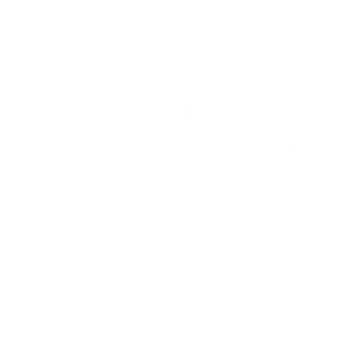 Content Development