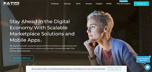 FATbit Technologies