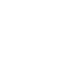 Website Audit
