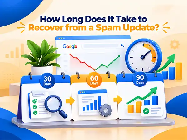 How Long Does It Take to Recover from a Spam Update