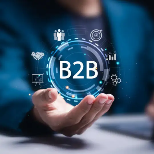Important for Your B2B Business